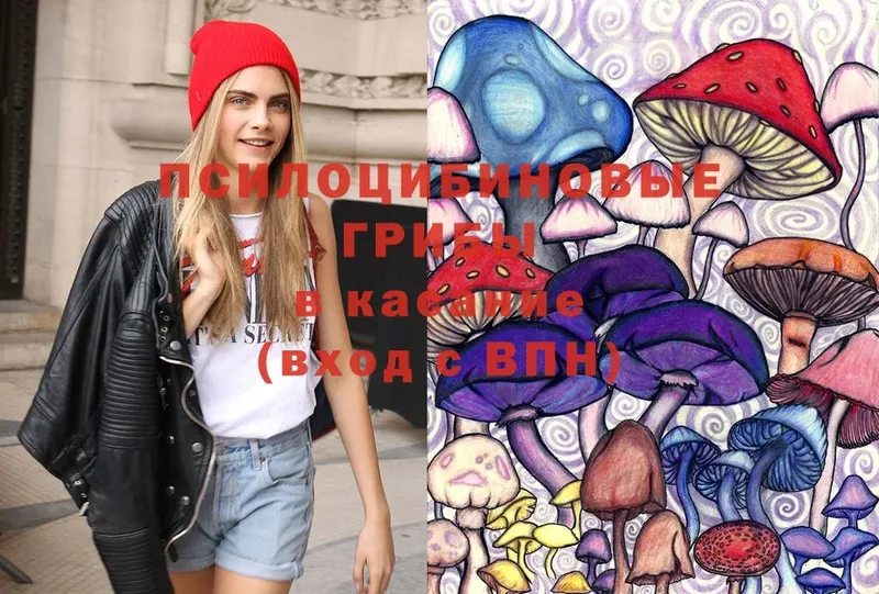 Псилоцибиновые грибы Psilocybe Ишимбай